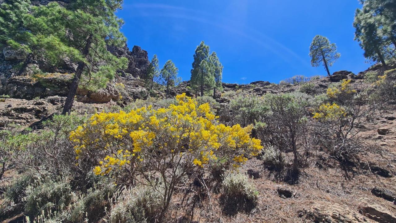 Puerto Rico Top Teide And Amadores View Exterior foto